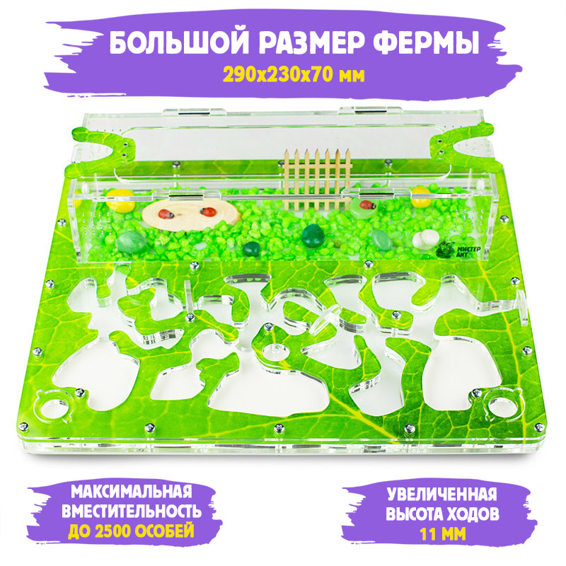Муравьиная ферма Макси "Зеленый лист" (ПОЛНЫЙ КОМПЛЕКТ) Муравьиная ферма Макси "Зеленый лист" (ПОЛНЫЙ КОМПЛЕКТ)
