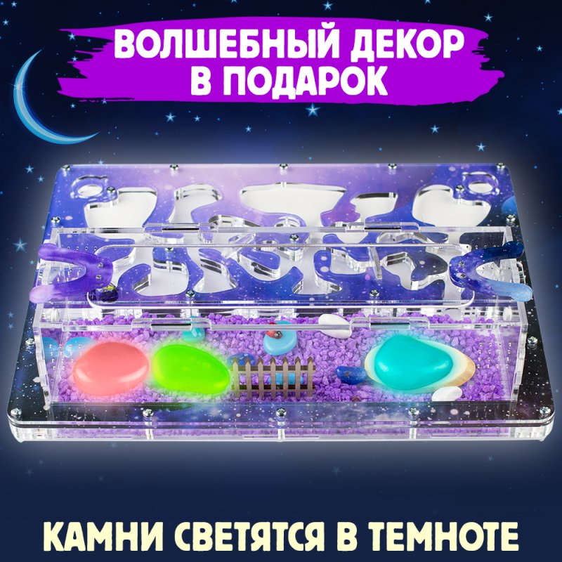 Муравьиная ферма Макси "Космос" (ПОЛНЫЙ КОМПЛЕКТ) Муравьиная ферма Макси "Космос" (ПОЛНЫЙ КОМПЛЕКТ)