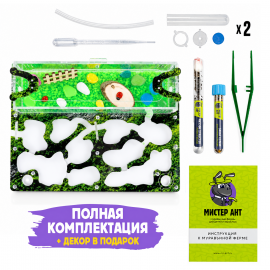 Муравьиная ферма Медиум “Горный мох” (ПОЛНЫЙ КОМПЛЕКТ) Муравьиная ферма Медиум “Горный мох” (ПОЛНЫЙ КОМПЛЕКТ)